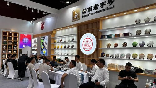 廣州秋季茶博會首日盛況 云南云墾茶業展位人氣爆棚，展覽服務亮點紛呈